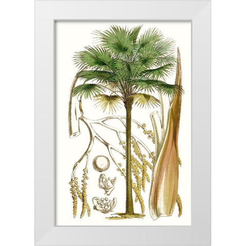 Curtis Palms I White Modern Wood Framed Art Print by Curtis