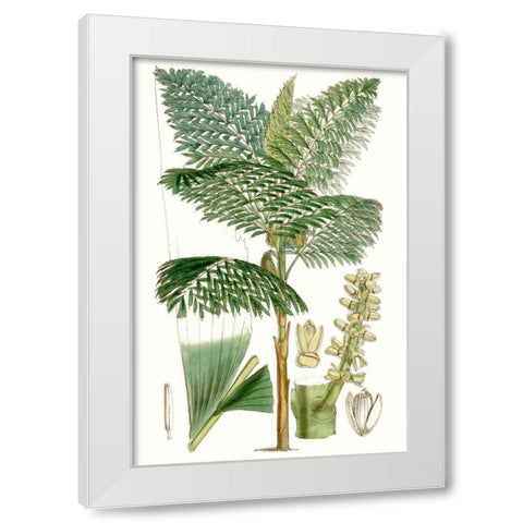 Curtis Palms II White Modern Wood Framed Art Print by Curtis