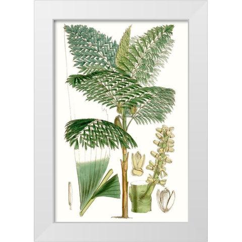Curtis Palms II White Modern Wood Framed Art Print by Curtis