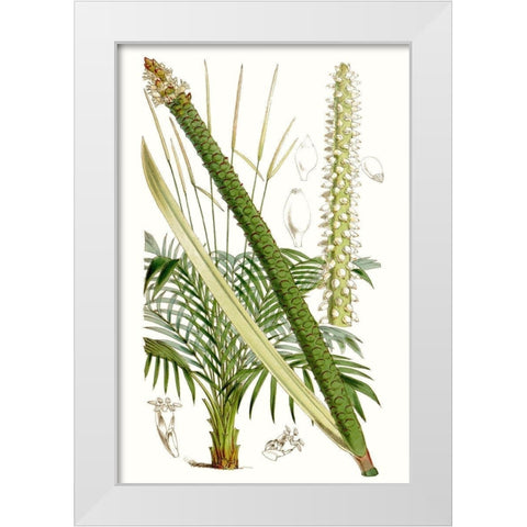 Curtis Palms III White Modern Wood Framed Art Print by Curtis