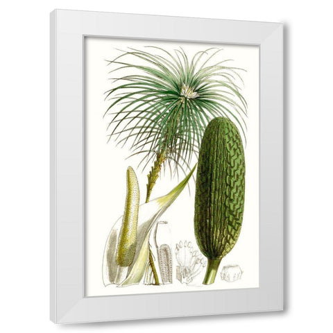 Curtis Palms IV White Modern Wood Framed Art Print by Curtis