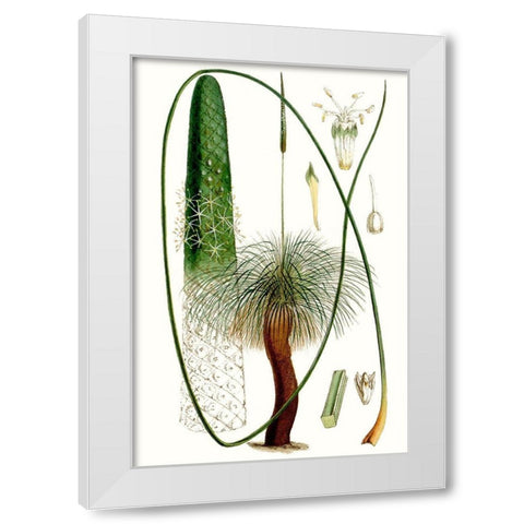 Curtis Palms V White Modern Wood Framed Art Print by Curtis