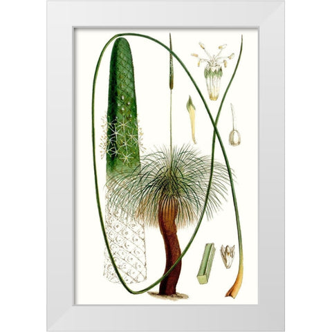Curtis Palms V White Modern Wood Framed Art Print by Curtis