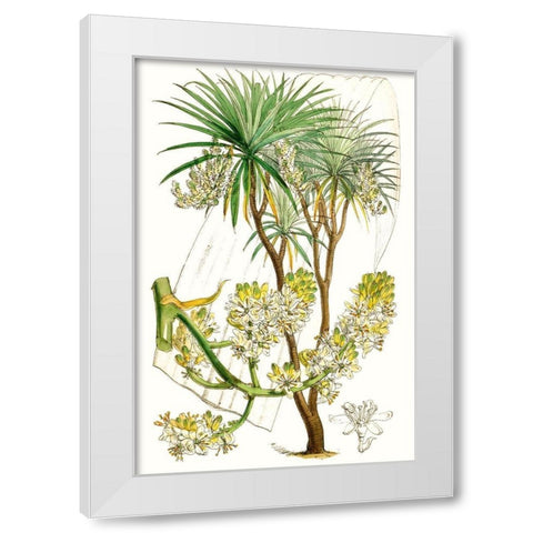Curtis Palms VI White Modern Wood Framed Art Print by Curtis