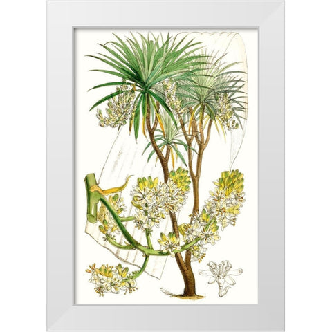 Curtis Palms VI White Modern Wood Framed Art Print by Curtis