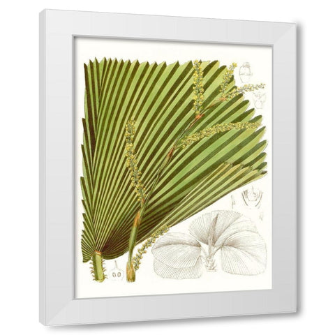 Palm Melange I White Modern Wood Framed Art Print by Curtis