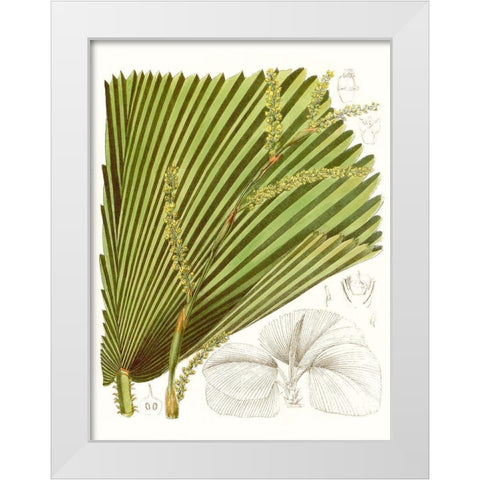 Palm Melange I White Modern Wood Framed Art Print by Curtis