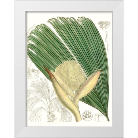 Palm Melange II White Modern Wood Framed Art Print by Curtis