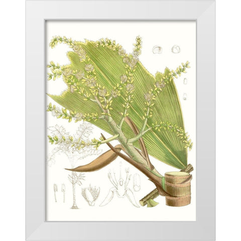 Palm Melange III White Modern Wood Framed Art Print by Curtis