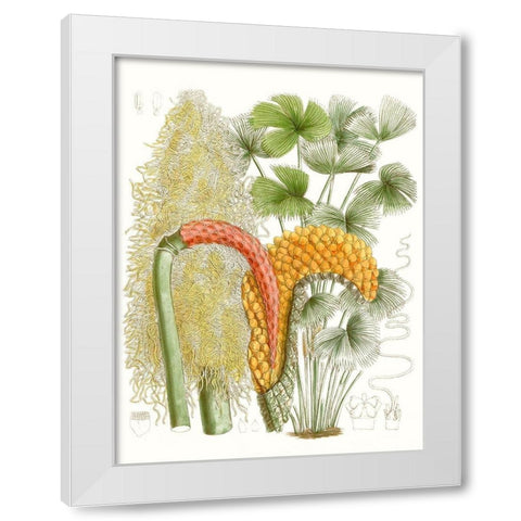 Palm Melange IV White Modern Wood Framed Art Print by Curtis