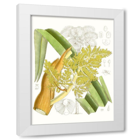 Palm Melange V White Modern Wood Framed Art Print by Curtis