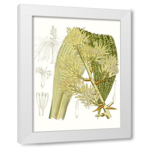 Palm Melange VI White Modern Wood Framed Art Print by Curtis