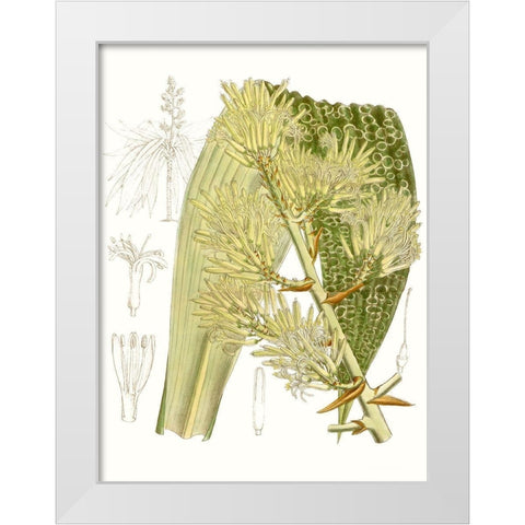 Palm Melange VI White Modern Wood Framed Art Print by Curtis