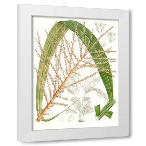 Palm Melange VII White Modern Wood Framed Art Print by Curtis