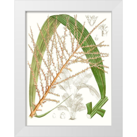 Palm Melange VII White Modern Wood Framed Art Print by Curtis