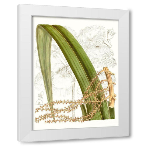 Palm Melange VIII White Modern Wood Framed Art Print by Curtis