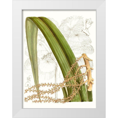 Palm Melange VIII White Modern Wood Framed Art Print by Curtis