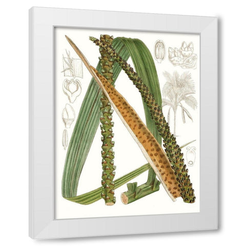 Palm Melange IX White Modern Wood Framed Art Print by Curtis