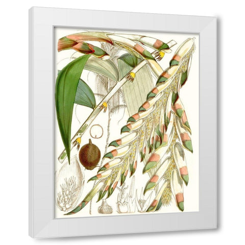 Tropical Variety I White Modern Wood Framed Art Print by Curtis