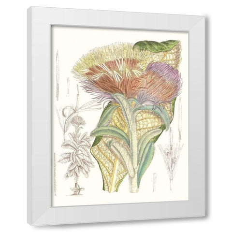 Tropical Variety IX White Modern Wood Framed Art Print by Curtis