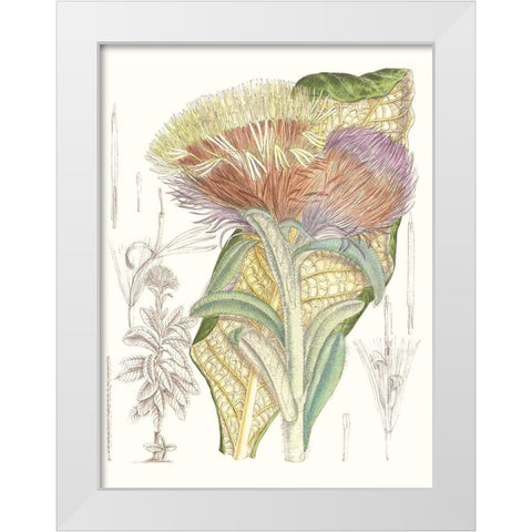 Tropical Variety IX White Modern Wood Framed Art Print by Curtis