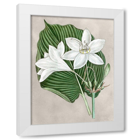 Alabaster Blooms III White Modern Wood Framed Art Print by Curtis