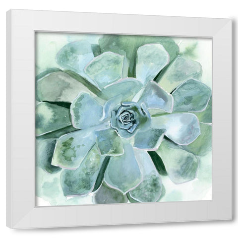 Verdant Succulent III White Modern Wood Framed Art Print by Borges, Victoria