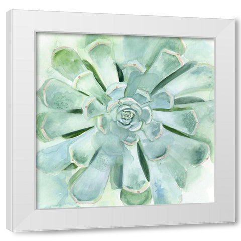 Verdant Succulent IV White Modern Wood Framed Art Print by Borges, Victoria