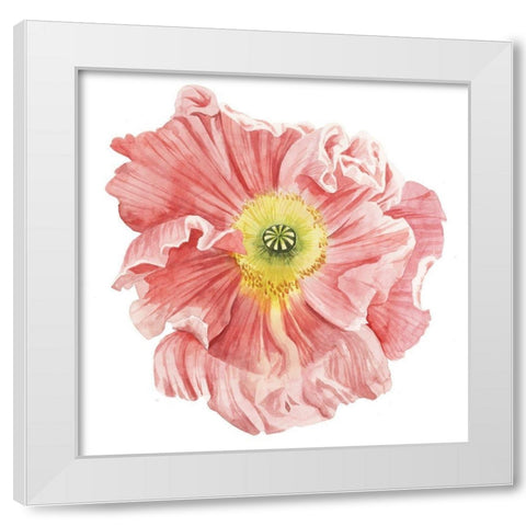 Market Poppy I White Modern Wood Framed Art Print by Popp, Grace