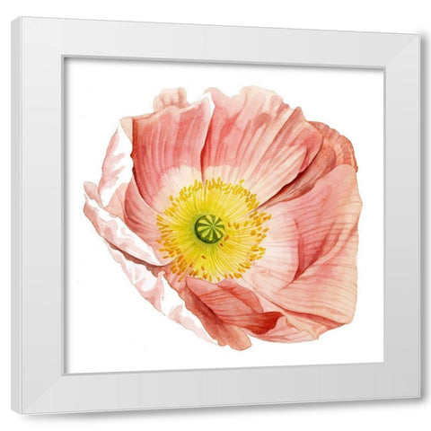 Market Poppy II White Modern Wood Framed Art Print by Popp, Grace