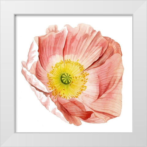 Market Poppy II White Modern Wood Framed Art Print by Popp, Grace