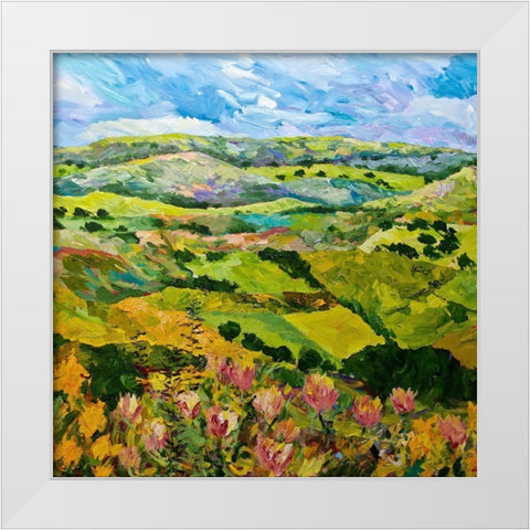Half Way Home White Modern Wood Framed Art Print by Friedlander, Allan