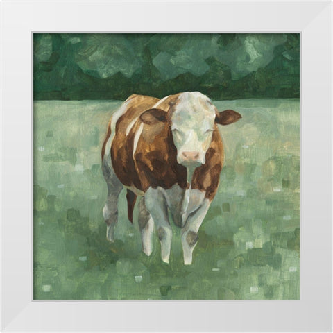 Hereford Cattle II White Modern Wood Framed Art Print by Scarvey, Emma