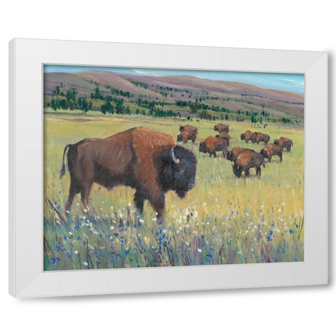 Animals of the West I White Modern Wood Framed Art Print by OToole, Tim