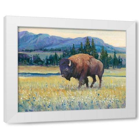 Animals of the West II White Modern Wood Framed Art Print by OToole, Tim