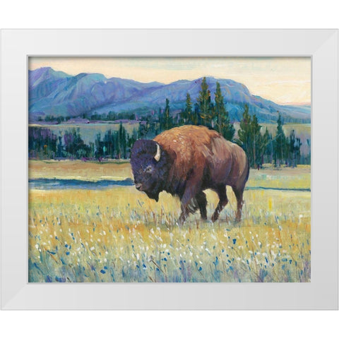 Animals of the West II White Modern Wood Framed Art Print by OToole, Tim