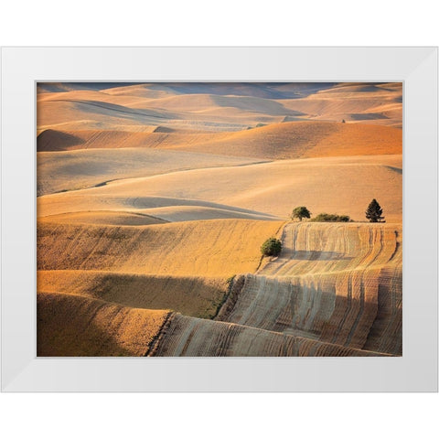 Farm and Field III White Modern Wood Framed Art Print by PHBurchett