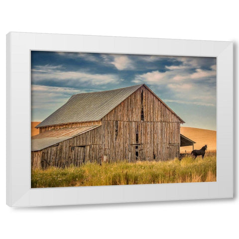 Farm and Field VI White Modern Wood Framed Art Print by PHBurchett