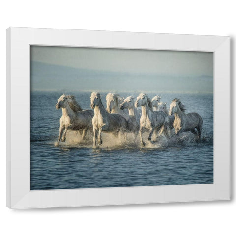 Water Horses VI White Modern Wood Framed Art Print by PHBurchett