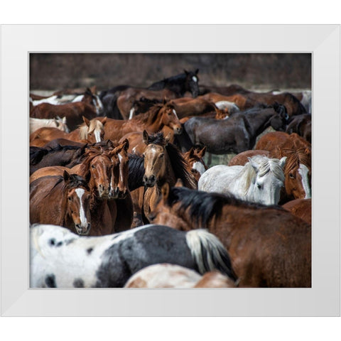 Horse Back White Modern Wood Framed Art Print by PHBurchett