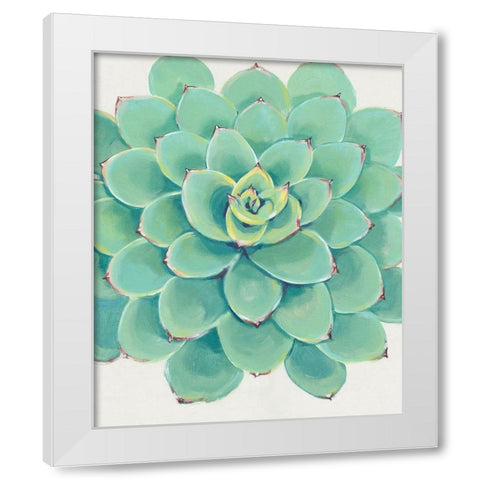 Pastel Succulent III White Modern Wood Framed Art Print by OToole, Tim