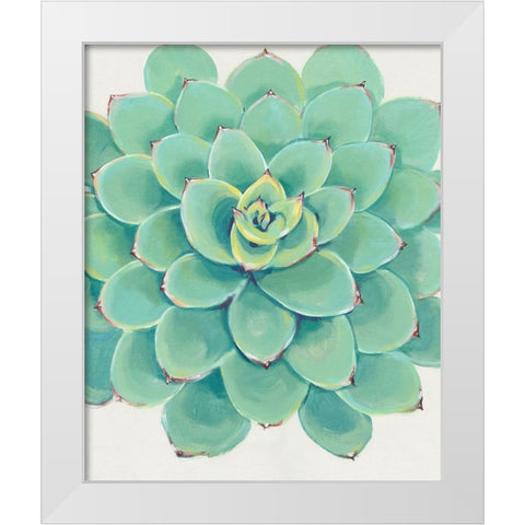 Pastel Succulent III White Modern Wood Framed Art Print by OToole, Tim