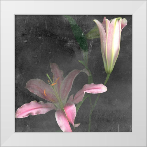 Fleur de Lys II White Modern Wood Framed Art Print by Ludwig, Alicia