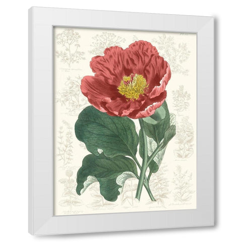 Peony Flower Garden I White Modern Wood Framed Art Print by Vision Studio