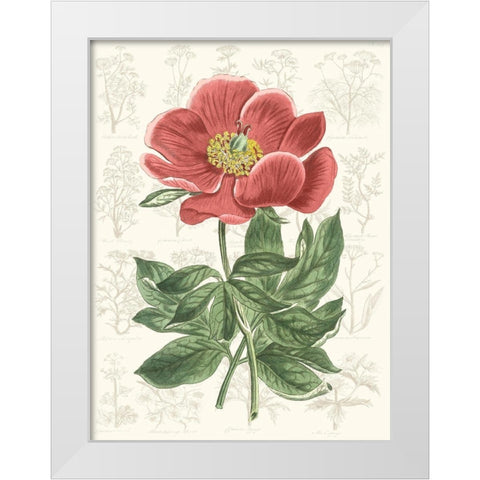 Peony Flower Garden II White Modern Wood Framed Art Print by Vision Studio