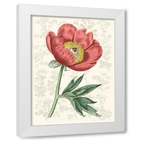 Peony Flower Garden III White Modern Wood Framed Art Print by Vision Studio