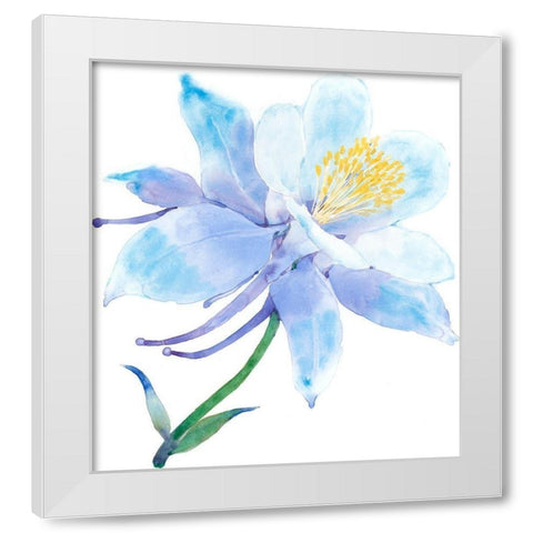 Columbine Bloom I White Modern Wood Framed Art Print by Tim OToole