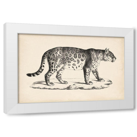Brodtmann Male Leopard White Modern Wood Framed Art Print by Brodtmann