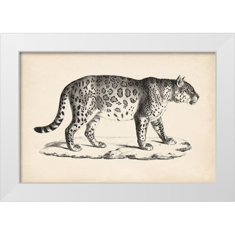Brodtmann Male Leopard White Modern Wood Framed Art Print by Brodtmann