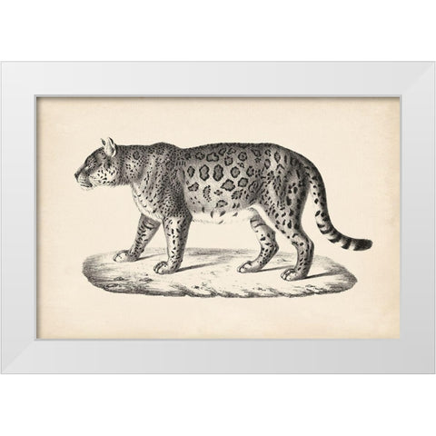Brodtmann Female Leopard White Modern Wood Framed Art Print by Brodtmann